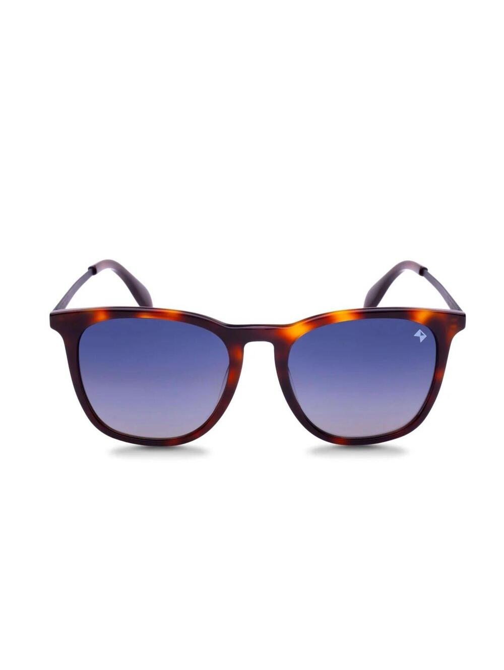 William Painter The Oasis Titanium Polarized Sunglasses Tortoise/Black UV400